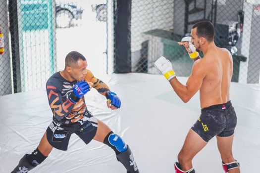 Two male fighters engaged in a mixed martial arts sparring session within a cage.